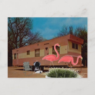 Pink Flamingos Postkarte