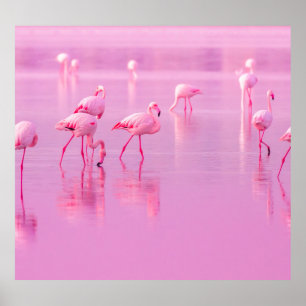 Pink Flamingos See Romantisches Konzept Poster
