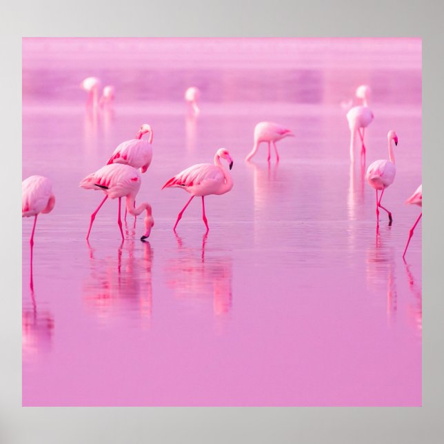 Pink Flamingos See Romantisches Konzept Poster (Vorne)