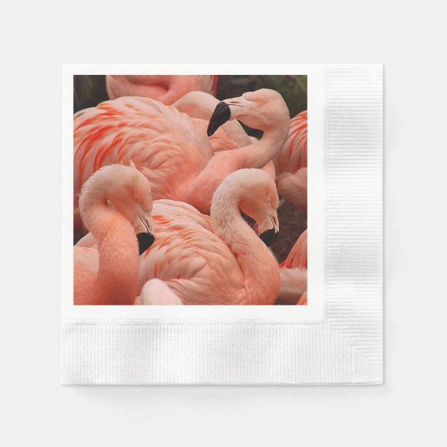 Pink Flamingos Serviette (Vorderseite)