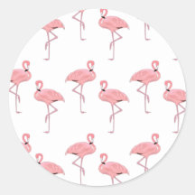 Pink Flamingos Tropical Coastal Beach Thema