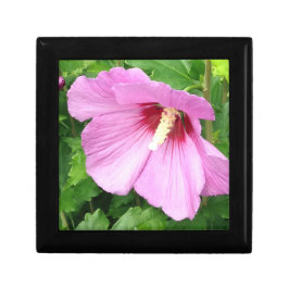 Pink Floral Fotografie Erinnerungskiste