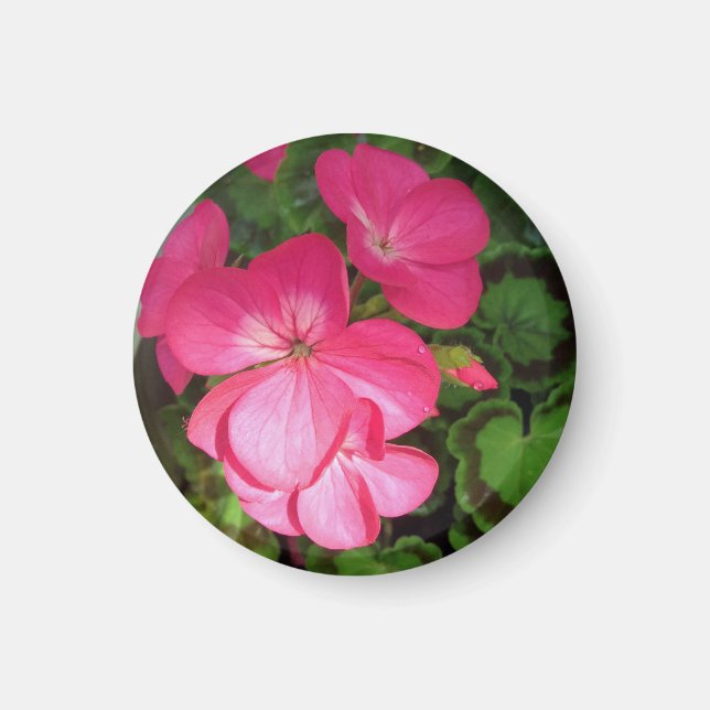Pink Floral Fotografie Magnet (Vorne)