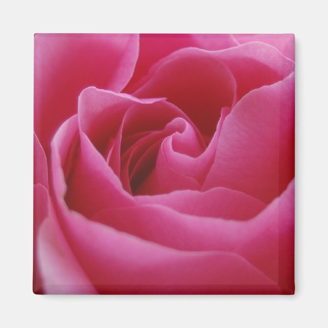 Pink Floral Magnet (Vorne)
