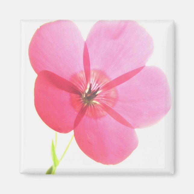 Pink Floral Magnet (Vorne)