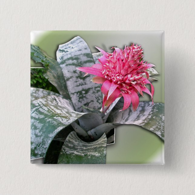 Pink Flower Bromeliad Button (Vorderseite)