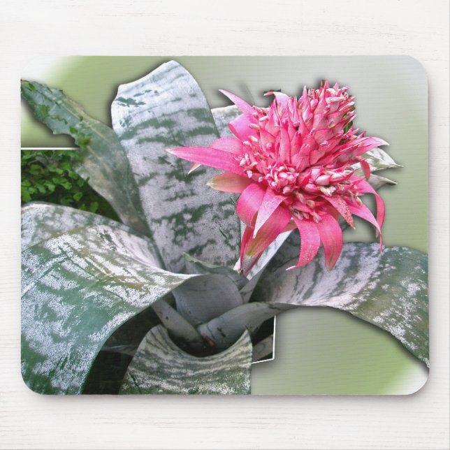 Pink Flower Bromeliad Mousepad (Vorne)