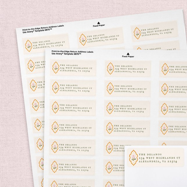 Pink Flower Orange Ogee Antique Serif Text (Von Creator hochgeladen)