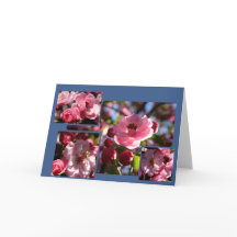 Pink Flowers Any Chance Greeting Card