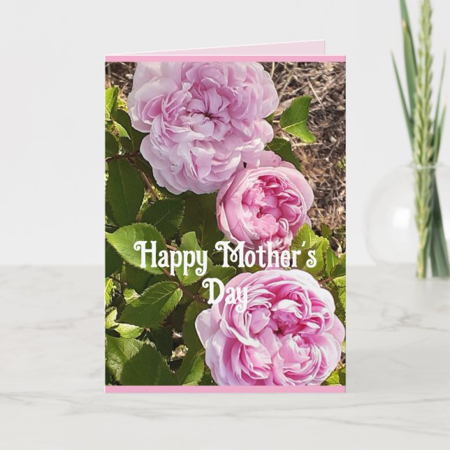 Pink Flowers Floral Rose Roses Mothers Day Card Karte (Vorderseite)