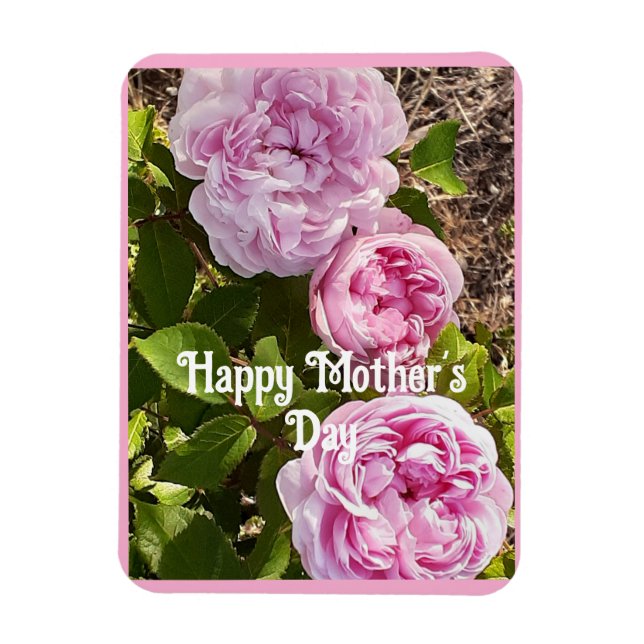 Pink Flowers Floral Rose Roses Mothers Day Card Magnet (Vertikal)