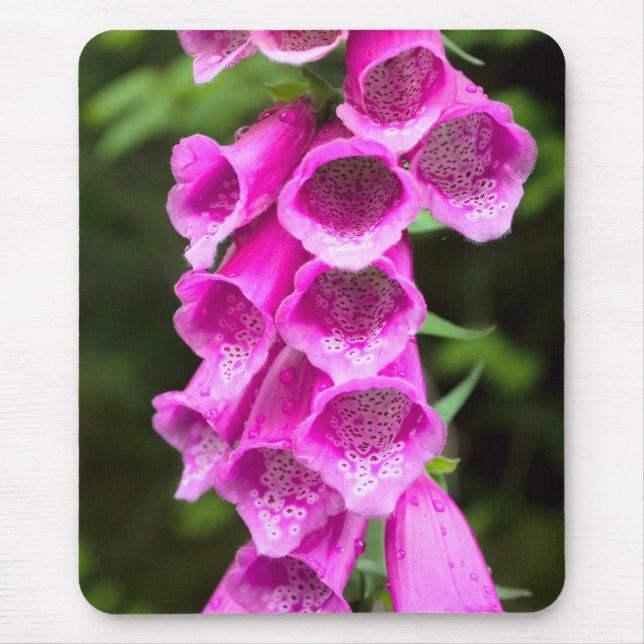 Pink Foxglove Mousepad (Vorne)