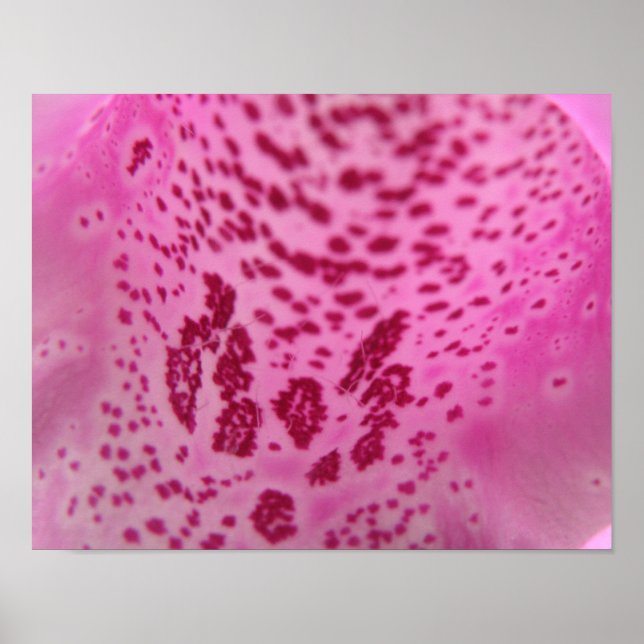 Pink Foxglove Petal Print Poster (Vorne)