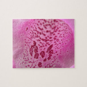 Pink Foxglove Petal Puzzle