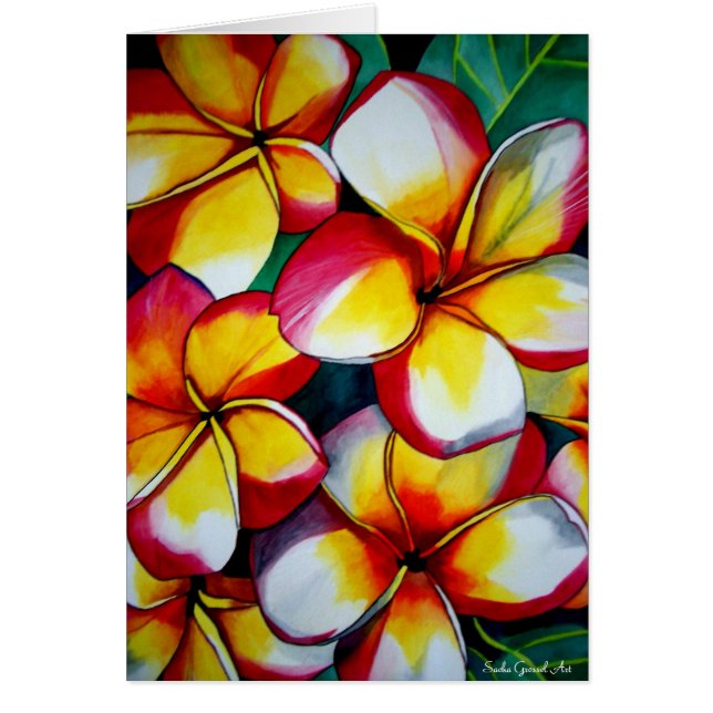 Pink-Frangipani-Blume-Karte von Sacha Grossel Art (Vorne)