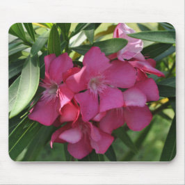 Pink Frangipani Blume Mouse Pad Mousepad