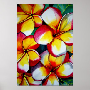 Pink Frangipani Kunstposter von Sacha Grossel Art Poster