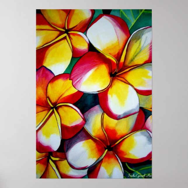 Pink Frangipani Kunstposter von Sacha Grossel Art Poster (Vorne)