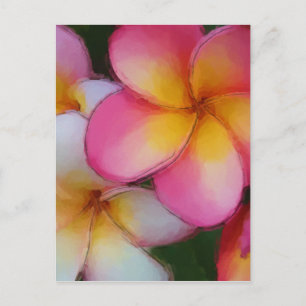 Pink Frangipani Plumeria Blume Postkarte