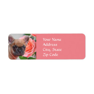 Pink French Bulldog address Labels