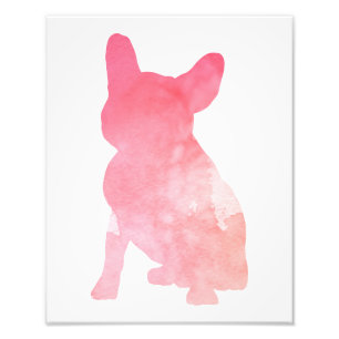Pink French Bulldog aka Frenchie Fotodruck