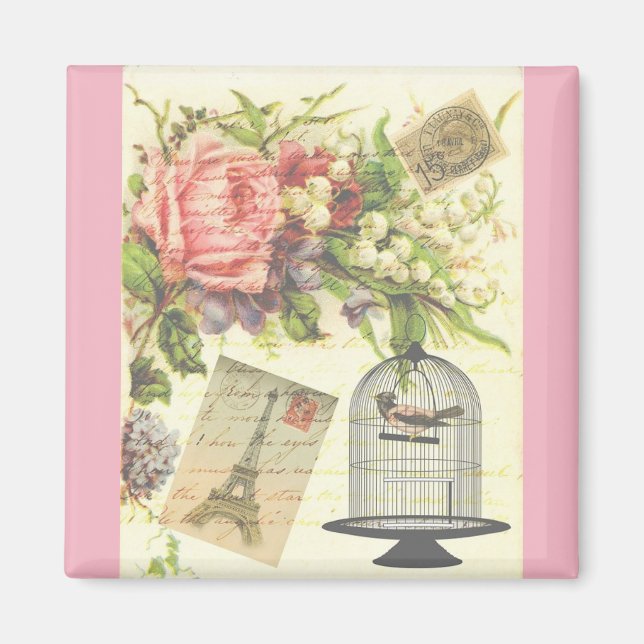 Pink French Theme Vintag Paris Magnet (Vorne)