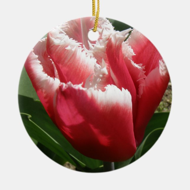Pink Fringed Tulip Custom Geburtstag Keramikornament (Vorne)