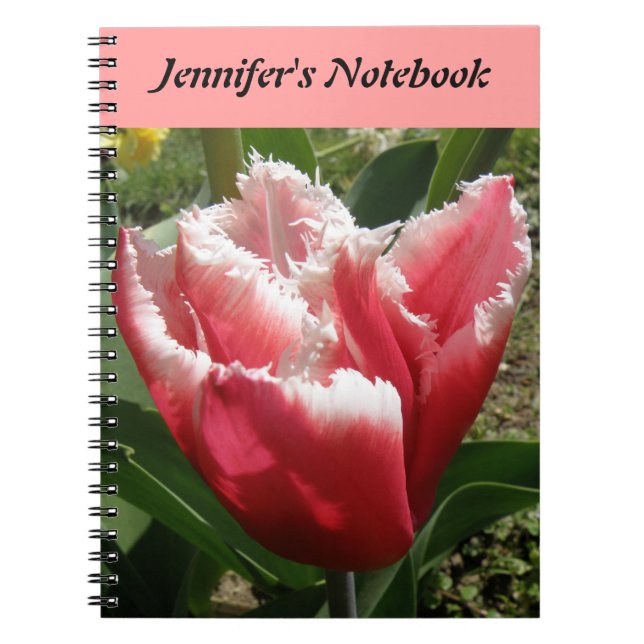 Pink Fringed Tulip - individualisierbares Notebook Notizblock (Vorderseite)