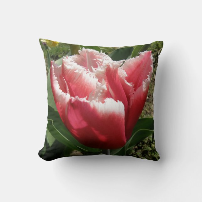 Pink Fringed Tulip Kissen (Vorderseite)