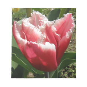 Pink Fringed Tulip Notepad Notizblock