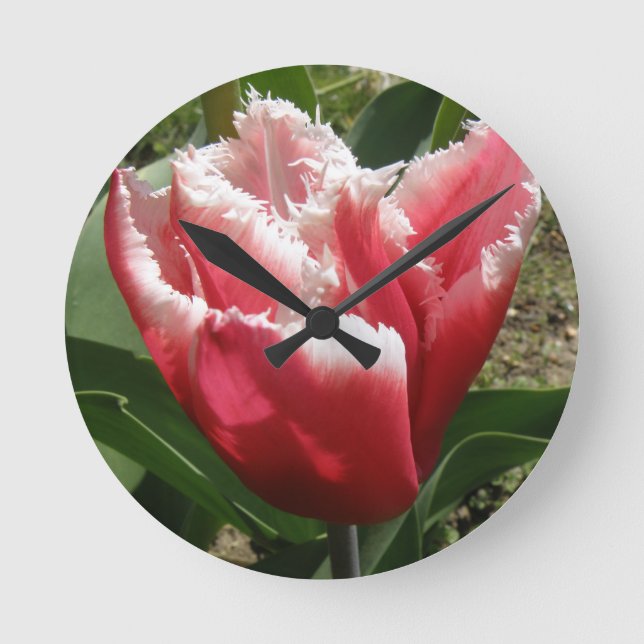 Pink Fringed Tulip Wall Clock Runde Wanduhr (Vorderseite)