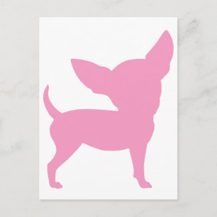 Pink Funny Chihuahua Postkarte