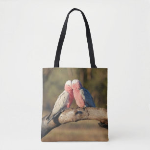 Pink Galahs