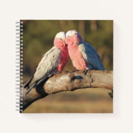 Pink Galahs Notizbuch
