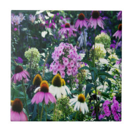 Pink Garden Phlox Landschaft mit Kone-Blume Fliese