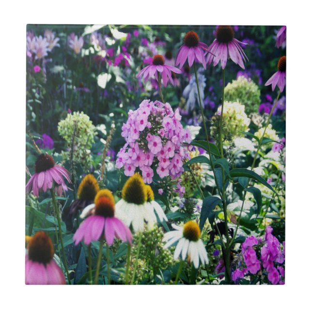 Pink Garden Phlox Landschaft mit Kone-Blume Fliese (Vorderseite)