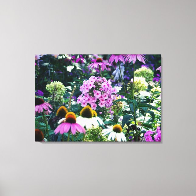 Pink Garden Phlox Landschaft mit Kone-Blume Leinwanddruck (Vorderseite)