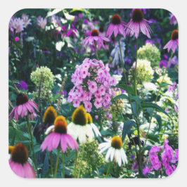 Pink Garden Phlox Landschaft mit Kone-Blume Quadratischer Aufkleber