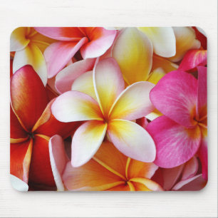 Pink-Gelb-Weiß-Mixed-Plumeria-Blume Mousepad