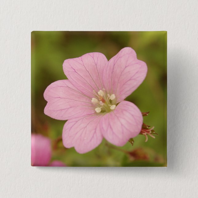 Pink Geranium Badge Button (Vorderseite)