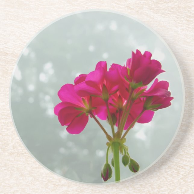 Pink Geranium Fotografie Sandstone Untersetzer (Vorne)