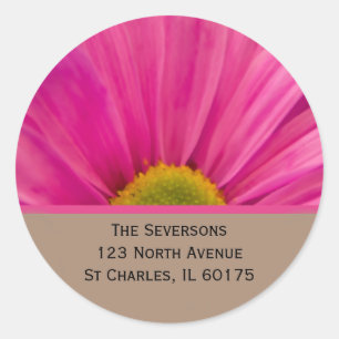 Pink Gerber Daisy auf Tan-Rücksendeadresse Runder Aufkleber