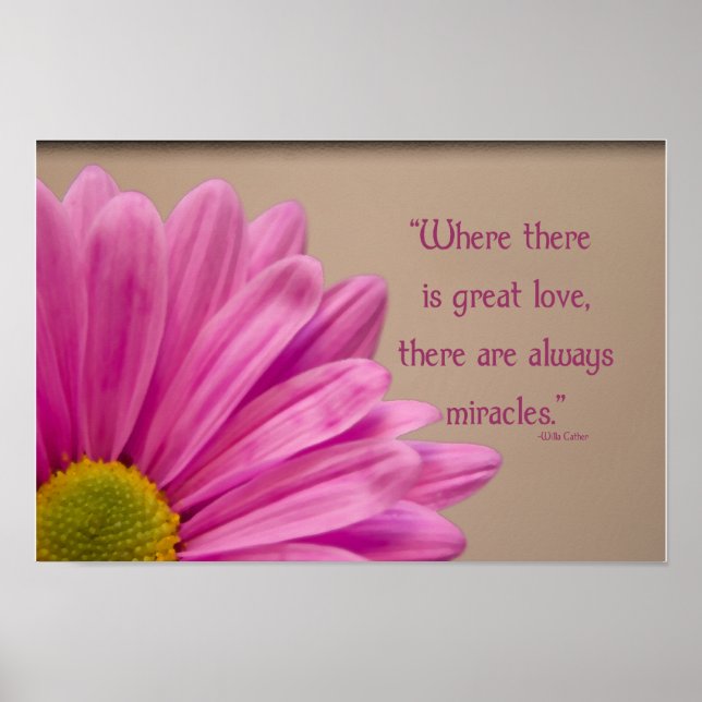 Pink Gerber Daisy Miracles Poster (Vorne)