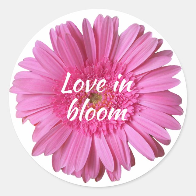 Pink Gerber Daisy mit Textaufkleber Runder Aufkleber (Vorderseite)