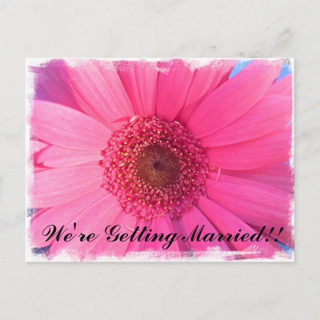 Pink Gerber Daisy Wedding Einladung (Vorderseite)