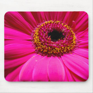 Pink gerber Gänseblümchen Mousepad