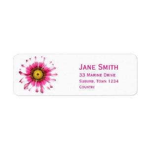 Pink Gerbera