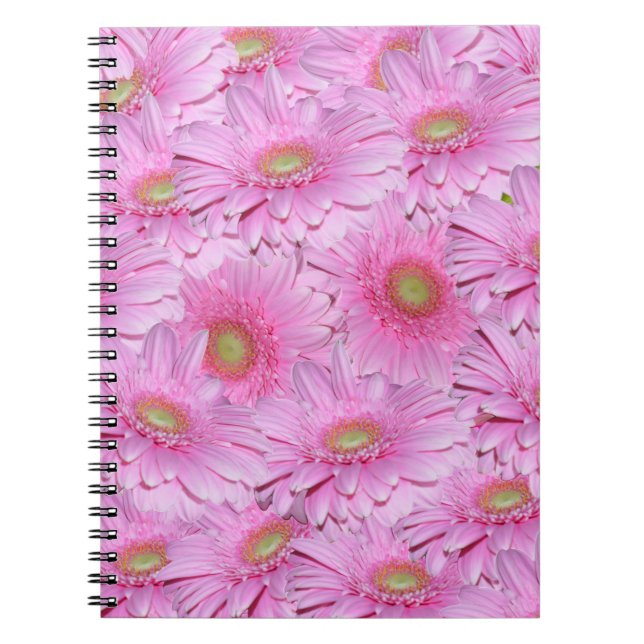 Pink Gerbera Blume Clusters, Notizblock (Vorderseite)