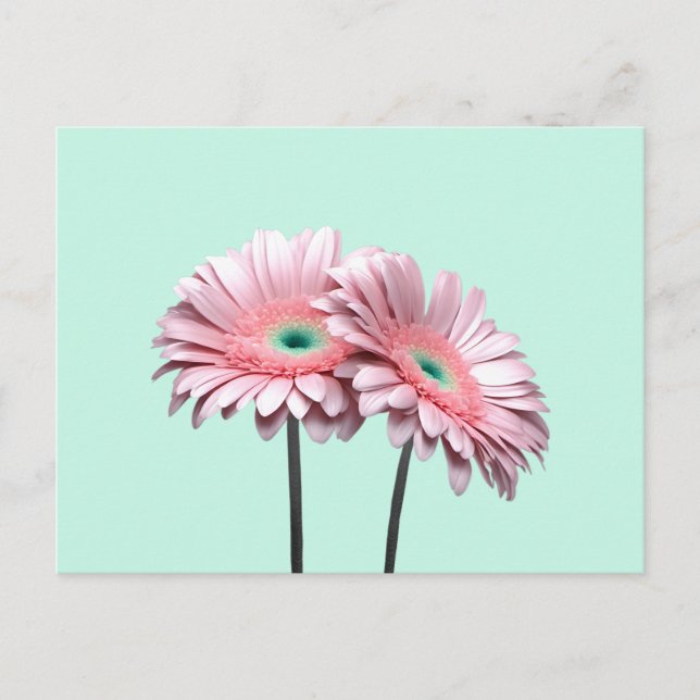 Pink Gerbera Daisies Postkarte (Vorderseite)