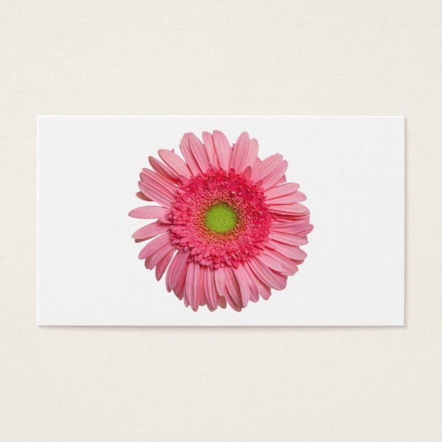 Pink Gerbera Daisy (Vorderseite)